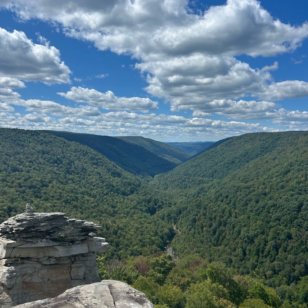 Meet your Posher, Ashleigh